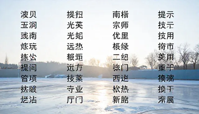 提升数据整理效率的提示词分类管理实践